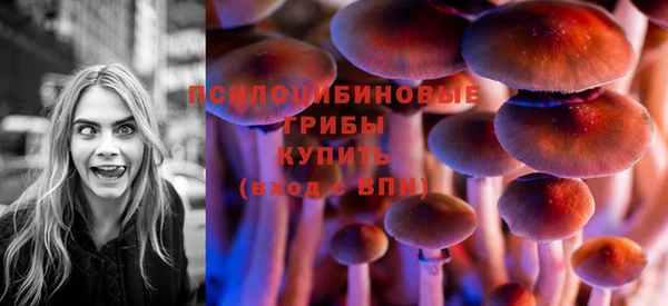 2c-b Алексеевка