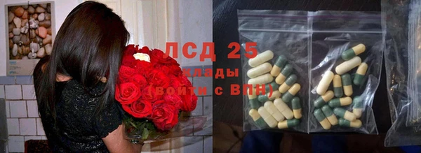 бошки Алексин