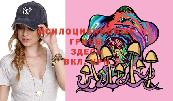 2c-b Алексеевка