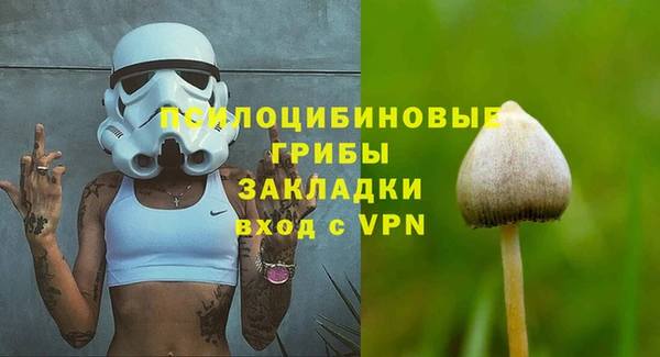 бошки Алексин