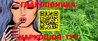 PSILOCYBIN Гай