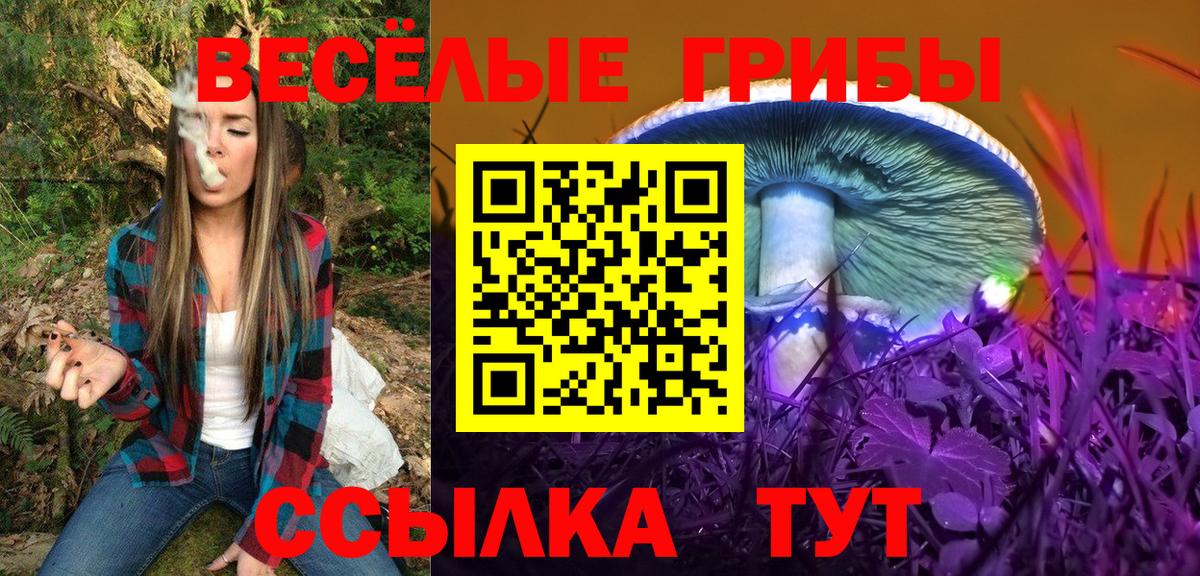 Псилоцибиновые грибы Magic Shrooms Зеленогорск