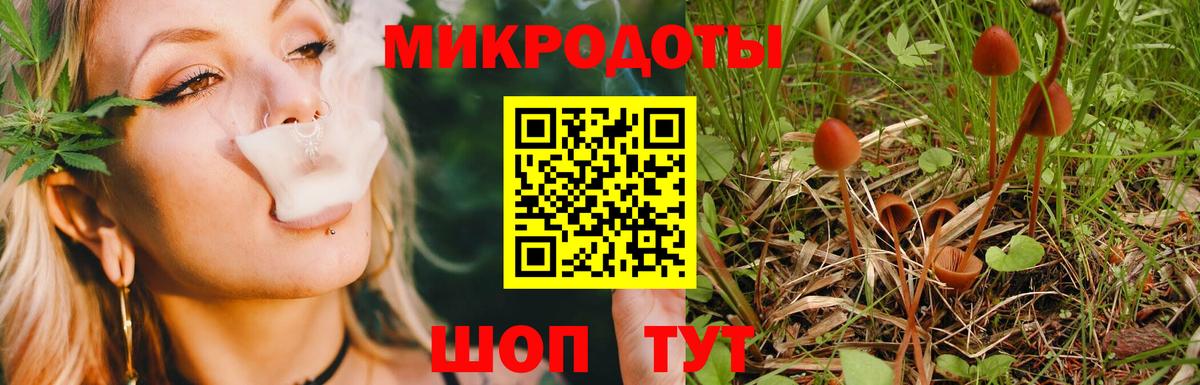 Зеленогорск  Псилоцибиновые грибы ЛСД  закладки  Вход с VPN 
